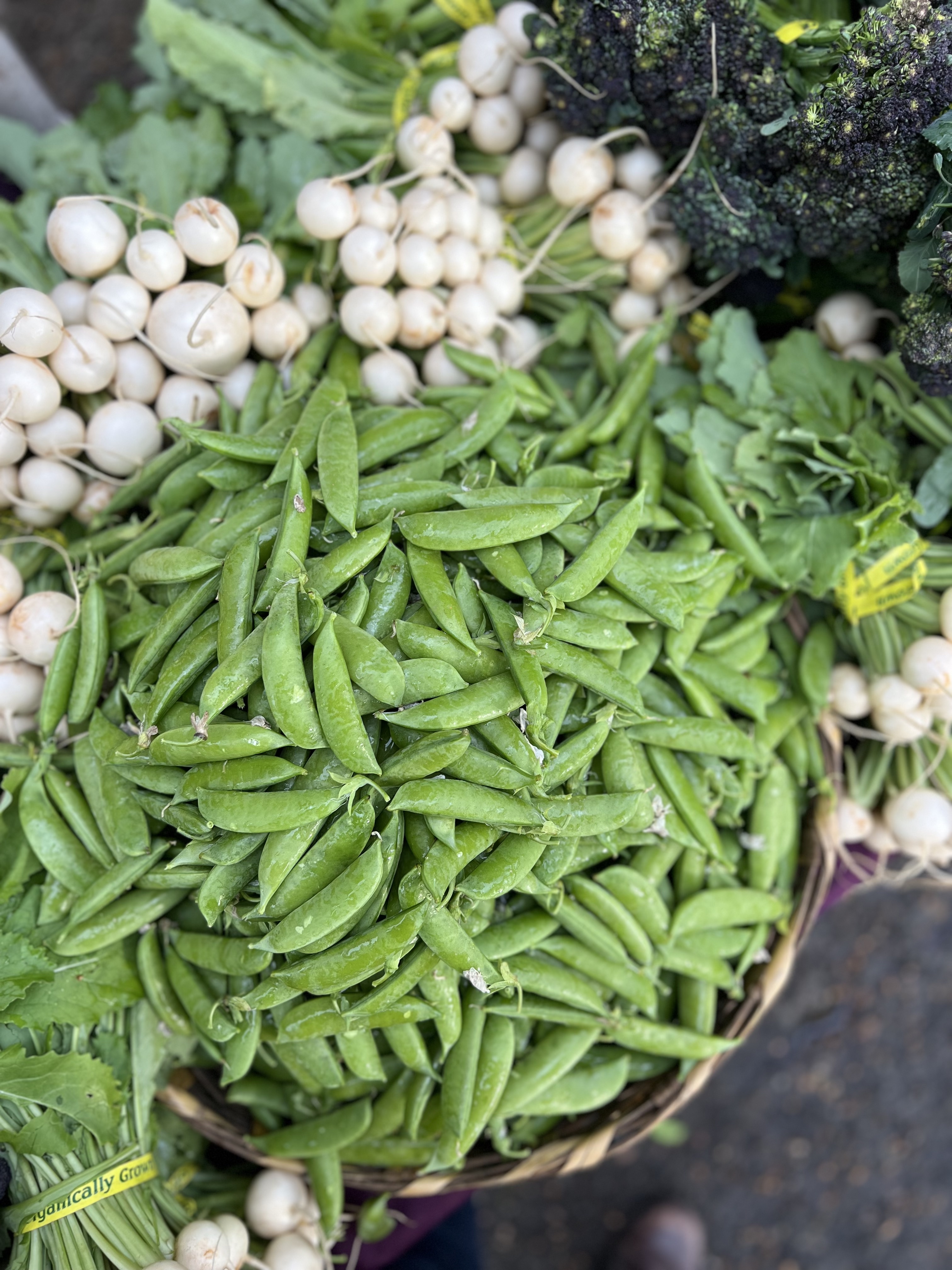 Eloisa Organic Farm photo